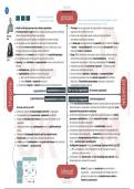 Schema's en visualisaties Kennismanagement & Organisatieleren