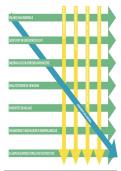 Schema's en visualisaties School- en Onderwijsbeleid + QUIZLET!