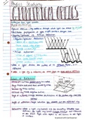 Gr11 Complete Physical Science Notes