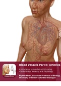 Pima Community College / BIO 202 / IN- lab manual_blood vessels_a+p_part2 Latest