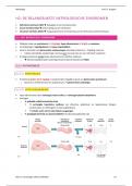 17/20 - Samenvatting Nefrologie prof. Kuypers (vak nier en urinewegen S1M1 GNK KUL)