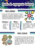 Niveles de organización biológica