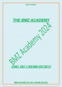 MNB3702 Assessment 03 SEMESTER 2 2024  COMPANY background  COMPETITIVE ANALYSIS  RECOMMENDED STRATEGY AND STRUCTURE