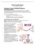 Psychopathologie Social Work l2, periode 3