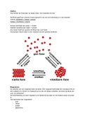 Samenvatting Natuuronderwijs inzichtelijk, ISBN: 9789046901908  Natuur en techniek (V2NAT31)