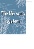 Nervous system notes IEB & DBE gr 11 & 12
