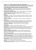 Photosynthesis and Cellular Respiration Summary