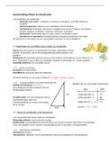 Samenvatting van boek meten en meetkunde