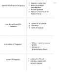 Upper neck and trunk flashcards 