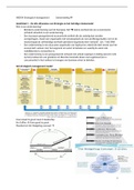 Samenvatting strategisch management 