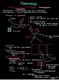 Schematische samenvatting BOEK 1 DE HOON 