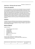 VU Biomedical sciences Genetics experiment 1: Working with small volumes. & experiment 2: Diagnostic restriction digest of the human Hemoglobin gene. (year 1)