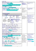 NU 231 Nursing Care Plan for Ineffective Tissue Perfusion- Rasmussen College