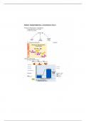 Bsci 170 Energy Transformation + utilization by cells Notes 