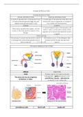 Notes and summary on Human Reproduction - IEB Matric bio/life Science