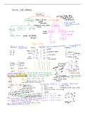 Particles & radiation A Level Physics AQA 