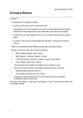 Lecture notes emerging markets (IF3201)
