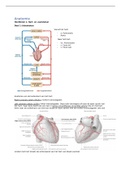 Samenvatting van alle colleges van Anatomie uit periode 2.3 (De hulpvraag bij systeemaandoeningen in de leefstijlcontext). 