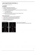 Samenvatting -  Locomotor system 2