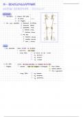 Anatomie der unteren Extremität (Bewegungsapparat A1)