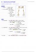 Anatomie der oberen Extremität (Bewegungsapparat A1)