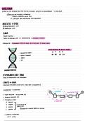 IEB Matric Life Sciences/Biology Summary 