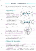 5.1.3 Neuronal communication - OCR Biology A level notes (2015-present syllabus)- A* notes