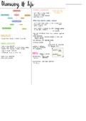 Grade 10 Biochemistry 