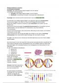 Samenvatting Biologie H3: Genetica vwo 4