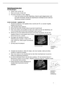 Samenvatting EC praktijk P7 MBRT