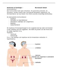 Anatomie en fysiologie – Hormonaal stelsel