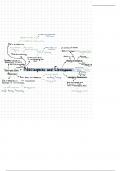 First year pharmacy at Newcastle university notes: Medicinal Chemistry 