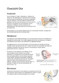 NZA (Neurologie, Zintuigen En Anesthesiologie) Overzicht Fysiologie Oor