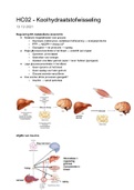 Alles van SE (Stofwisseling & Endocrinologie)