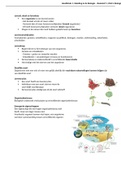 Samenvatting Biologie - Hoofdstuk 1, Inleiding in de biologie (boek: Biologie voor jou 4 vwo)