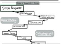 Fill in the blank + answers: Study Help for the Mechanisms of Endocrine Control Physiology