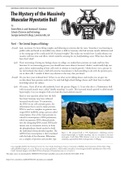 BIO 3180 /BIO3180 MYSTERY OF THE MASSIVELY MUSCULAR MYOSTATIN BULL