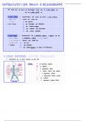 Anatomie des Abdomen und Stoffwechsel (E1)