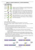 Tema 10. Genética mendeliana