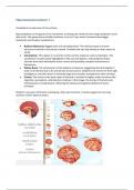 Minor Neuroscience WBBY009-15 College aantekeningen/samenvatting voor tentamen deel 1