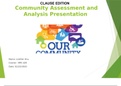 Community Assessment and Analysis Presentation (Lizetter)