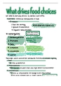 nutrition notes - chapter 1 (nutrients)