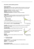 economie samenvatting voor examen 2022