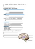 A&P 1 review sheet - CNS