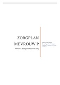 Module 1 Beargumenteren van Zorg PLP 1