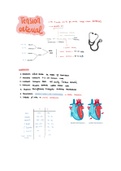 Tensión arterial 