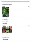  NEBRASKA NURSERY LANDSCAPE CDE LIST QUESTIONS AND ANSWERS