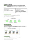 cie alevel biology chapter 3 enzymes