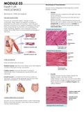 MODULE 03: PUMP IT UP! MUSCLE BASICS