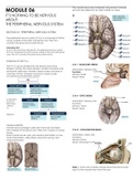 MODULE 06: IT’S NOTHING TO BE NERVOUS ABOUT: THE PERIPHERAL NERVOUS SYSTEM